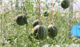 五一吃瓜最新爆料视频,视频爆料揭示惊人内幕