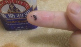 网民爆料酸奶最新,网民爆料神秘新型酸奶诞生，口感与营养双升级