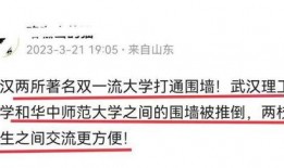 武汉大学最新爆料,揭秘校园风云与学术创新”