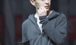 diss邓伦最新爆料,娱乐圈背后的真相与争议