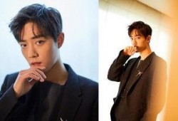 杨紫和肖战过年最新爆料,独家爆料揭秘过年幕后故事