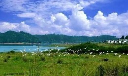 美丽河源爆料最新消息