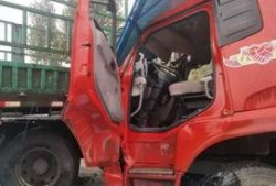 杞县柿园车祸最新爆料,悲剧现场细节披露，调查深入进行中