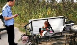 杞县柿园车祸最新爆料,悲剧现场细节披露，调查深入进行中