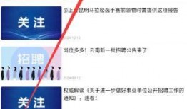 最新社会爆料新闻内容,最新社会爆料事件背后的真相与影响