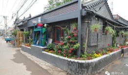 5月高招s忍2025爆料最新,揭秘忍者界新势力崛起