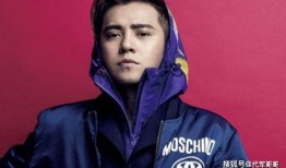 罗志祥极限挑战最新爆料,揭秘节目背后的惊人真相！