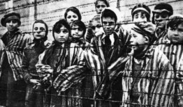 第五犹太最新爆料