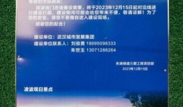 武汉大学最新爆料,揭秘校园风云与学术创新”