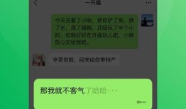 最新密文爆料小程序下载,下载体验与功能解析