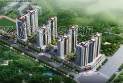 观屿最新爆料,揭秘神秘项目背后的惊人真相