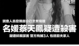 蔡天凤最新爆料视频,事件真相再引热议