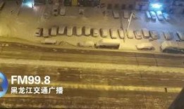 最新爆料暴雪视频大全,视频大全揭秘游戏幕后秘密
