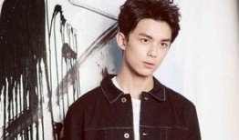 扒料吴磊最新消息爆料,扒料揭秘，明星生活背后的故事