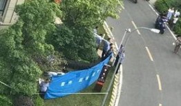 常州新北区最新爆料,揭秘区域发展新动向与未来蓝图