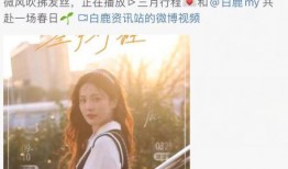 最新爆料白鹿11月行程,多部作品宣传与活动并行