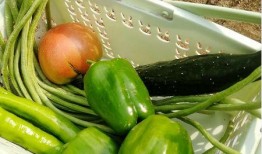 安阳吃瓜最新事件爆料是真的吗,最新爆料真相揭秘