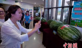 定州吃瓜事件最新爆料新闻,最新爆料揭示惊人内幕