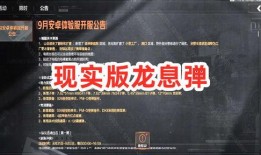 暗区突围爆料最新,全新爆料揭示神秘游戏世界与惊心动魄的冒险旅程