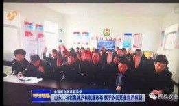 费县爆料新闻最新,最新爆料揭示惊人真相