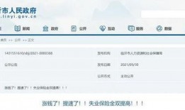 临沂工资爆料最新消息今天,最新薪资动态揭秘，揭秘一线工人真实收入！