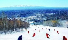 洛阳滑雪场爆料事件最新,揭秘背后惊人真相！