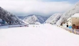 洛阳滑雪场爆料事件最新,揭秘背后惊人真相！